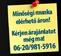 Minsgi munka elrhet ron! / Krjen rajnlatot mg ma! (06-20) 981-5916